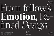 GrethaSerif, a Serif Font by Propertype (Thumbnail 2 of 14)