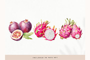 Watercolor Fruit Clipart, Fresh PNG, a Decorative Illustration by illuztrate (Thumbnail 10 of 13)