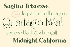 Belgato Elegant Vintage Font Family