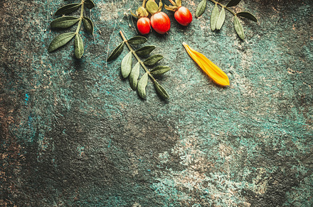 Rustic background with sunflower, a Nature Photo by VICUSCHKA