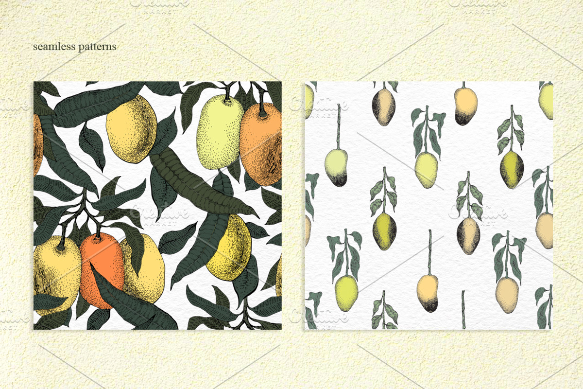 Мango Vector Collection, an Illustration by Lubov Illustrations Shop (Photo 6 of 7)