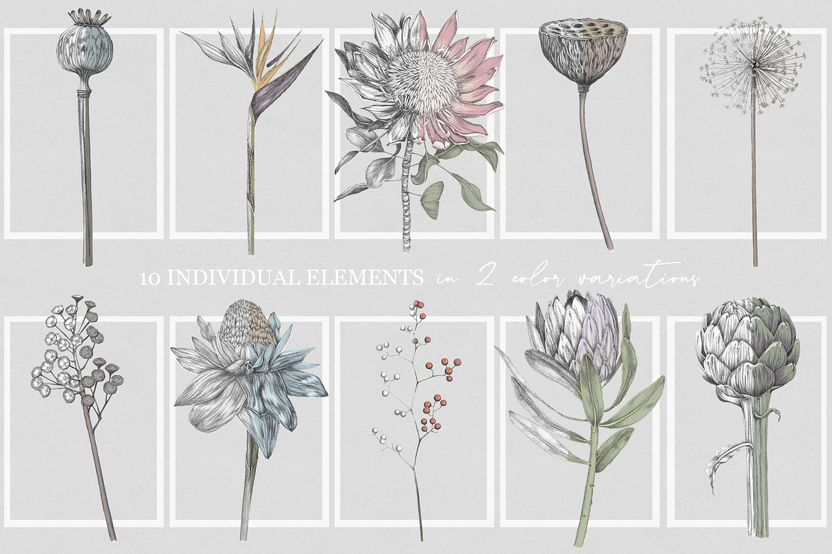 Luxury Sketchy Floral Vintage, a Pattern Graphic by Alisa Fimen Design (Photo 11 of 11)