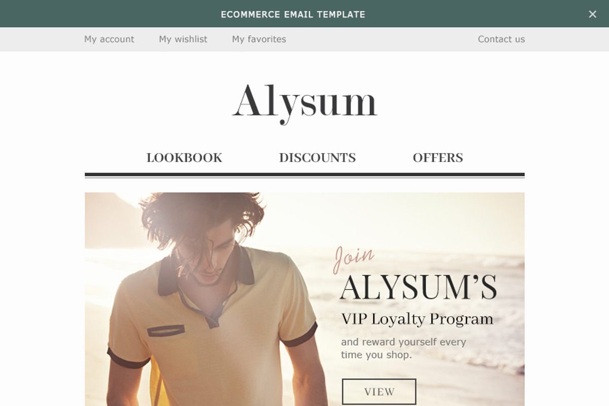 Alysum - eCommerce PSD template, a Websites & App Template by Promokit (Photo 29 of 30)