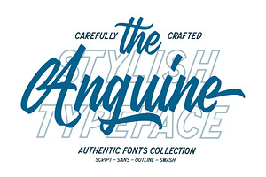 Anguine - Stylish Typeface