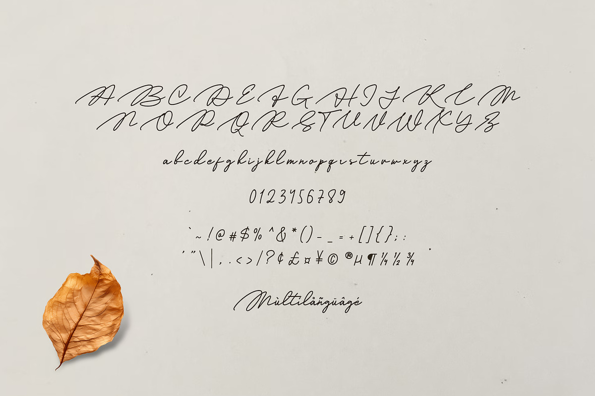 Demather Script, a Sans Serif Font by khurasan (Photo 6 of 6)