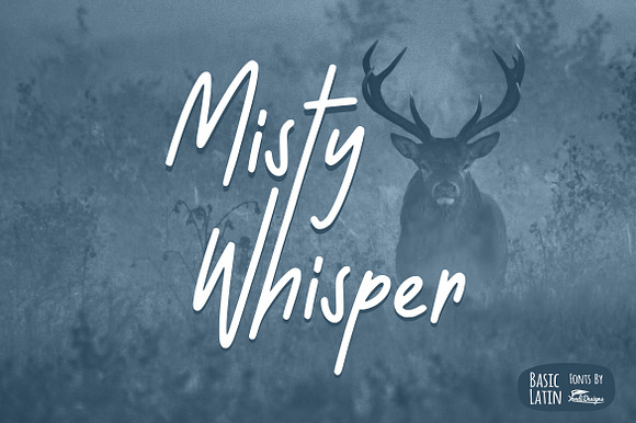 Misty Whisper Font preview 5