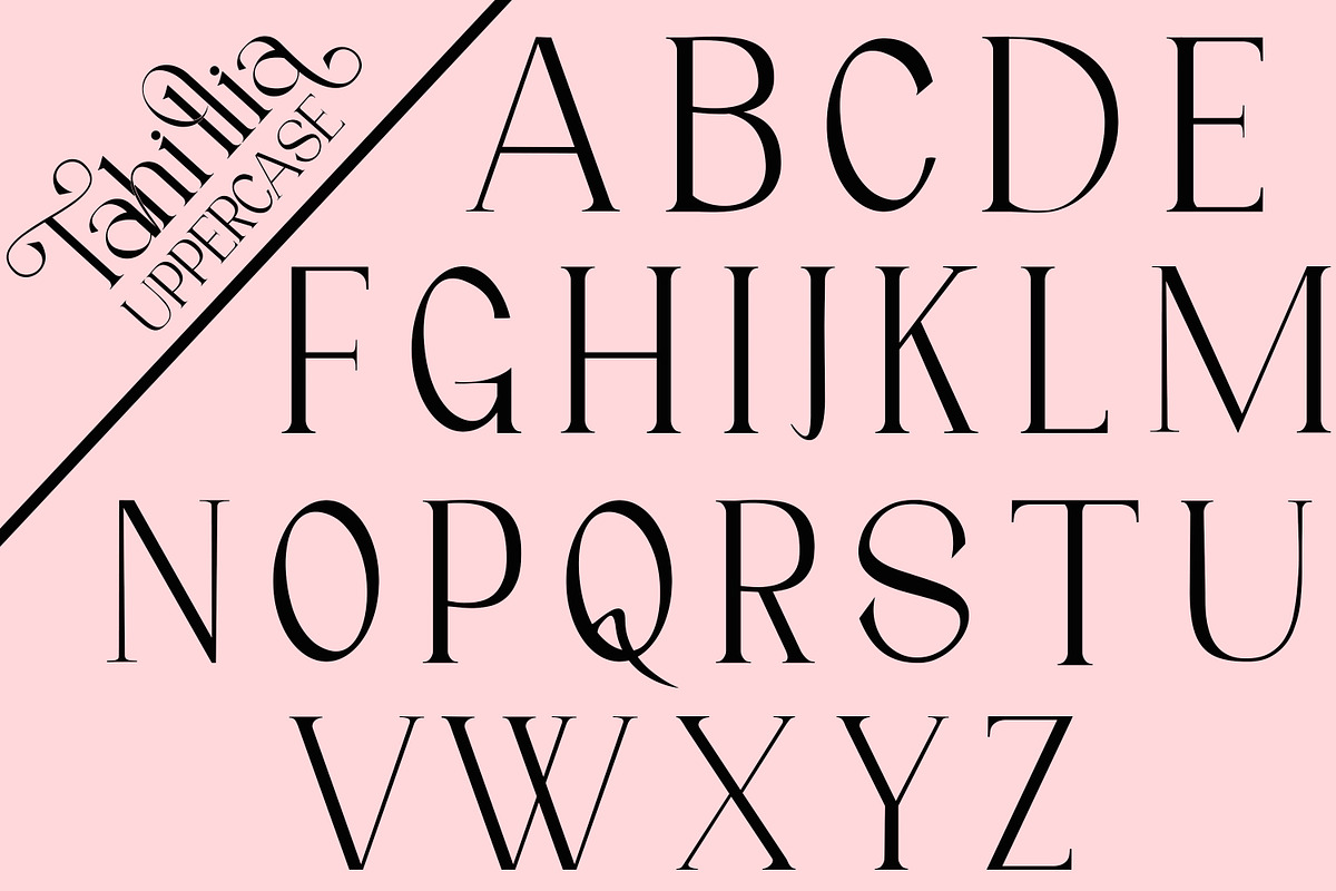 Tahillia, a Serif Font by Canden Meutuah (Photo 4 of 10)