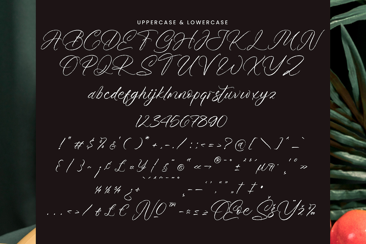 Roast Ritual, a Script Font by operatype.co (Photo 13 of 15)