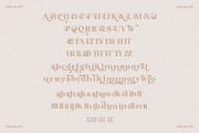 Radically Rad — A Display Serif, a Serif Font by Prestige Artsy Studio (Thumbnail 11 of 11)