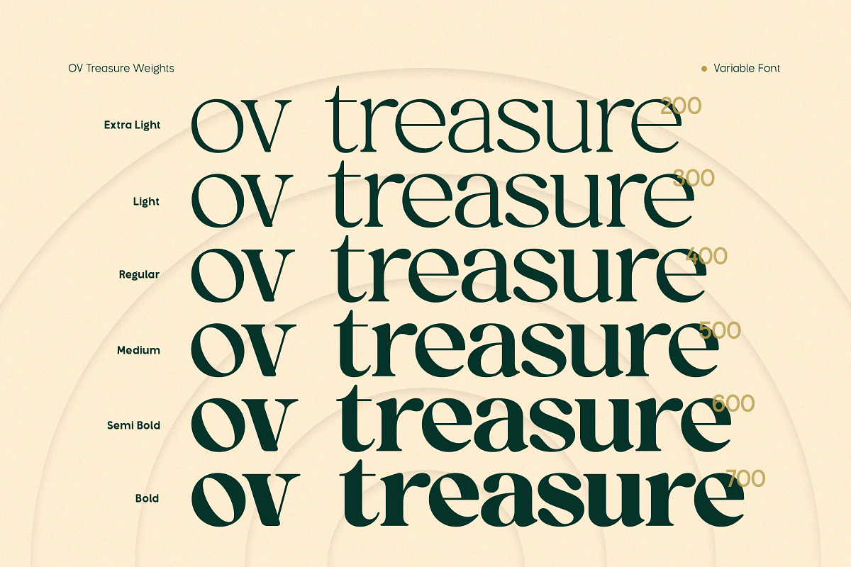 OV Treasure Retro Serif Font Family, a Serif Font by OV Type (Photo 13 of 21)