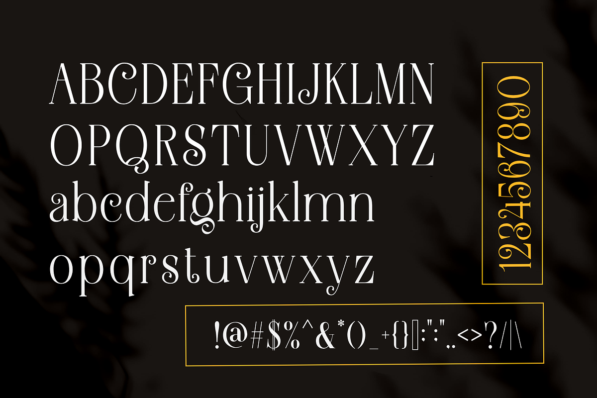 Braxttile Elegant Serif Font, a Script Font by Graphicxell (Photo 7 of 9)