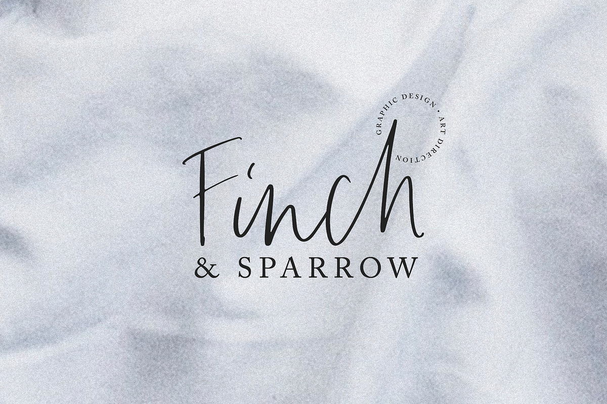 Amaro | Script + 6 Free Logos preview 4