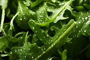 Green Salads. 47 images, a Food & Drink Photo by Handmadefont (Thumbnail 7 of 12)