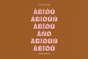 HONEYCRISP by Tyler Elise, a Font by tylerelise (Thumbnail 5 of 6)