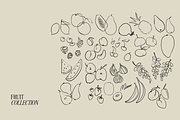 Hand Drawn Fruit Illustration Set, a Food Illustration by GFB Studio (Thumbnail 4 of 7)