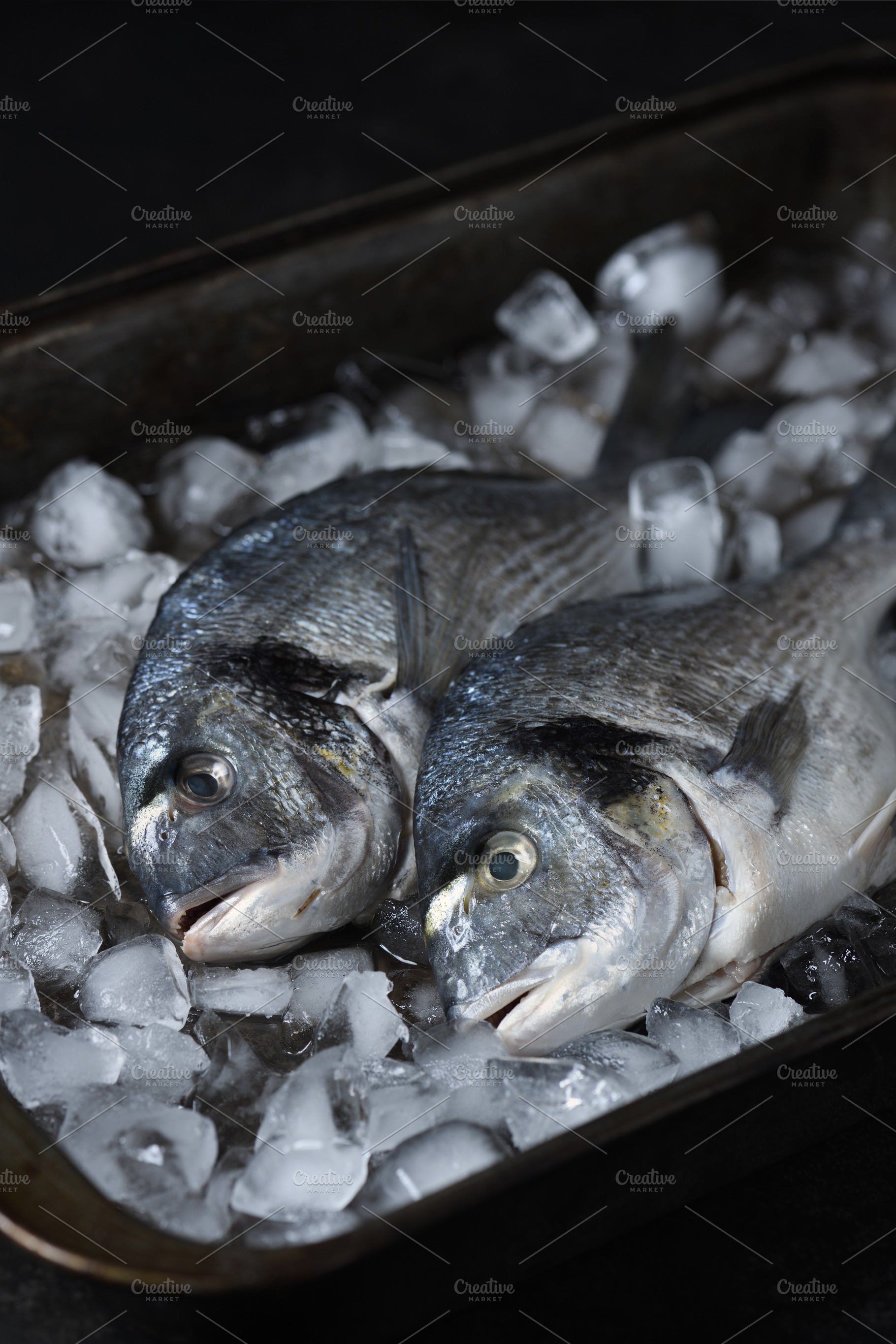 Fresh raw dorado fish on ice, a Food & Drink Photo by Apolonia