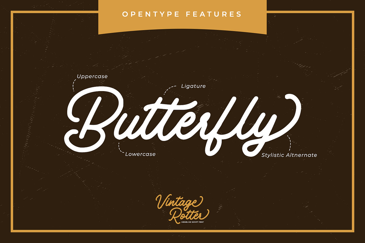 Vintage Rotter, a Script Font by Vintage Division (Photo 7 of 10)