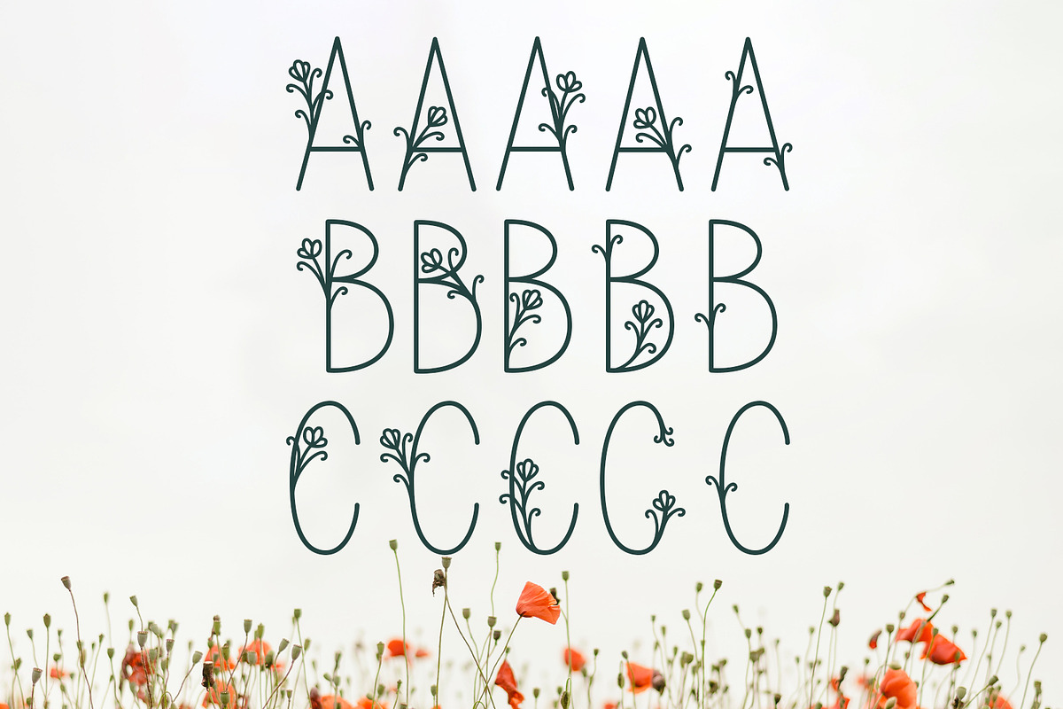 Bloom | A Delicate Decorative Font, a Font by Emalee Roth (Photo 2 of 5)