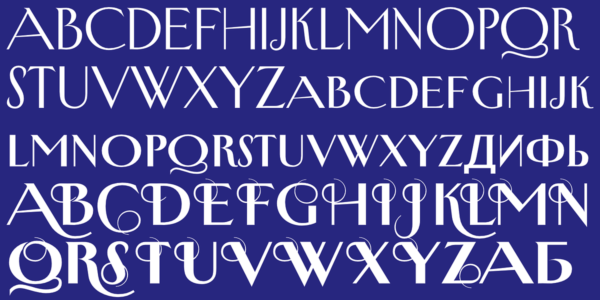New Yorker Type Pro, a Serif Font by Wiescher-Design (Photo 5 of 8)