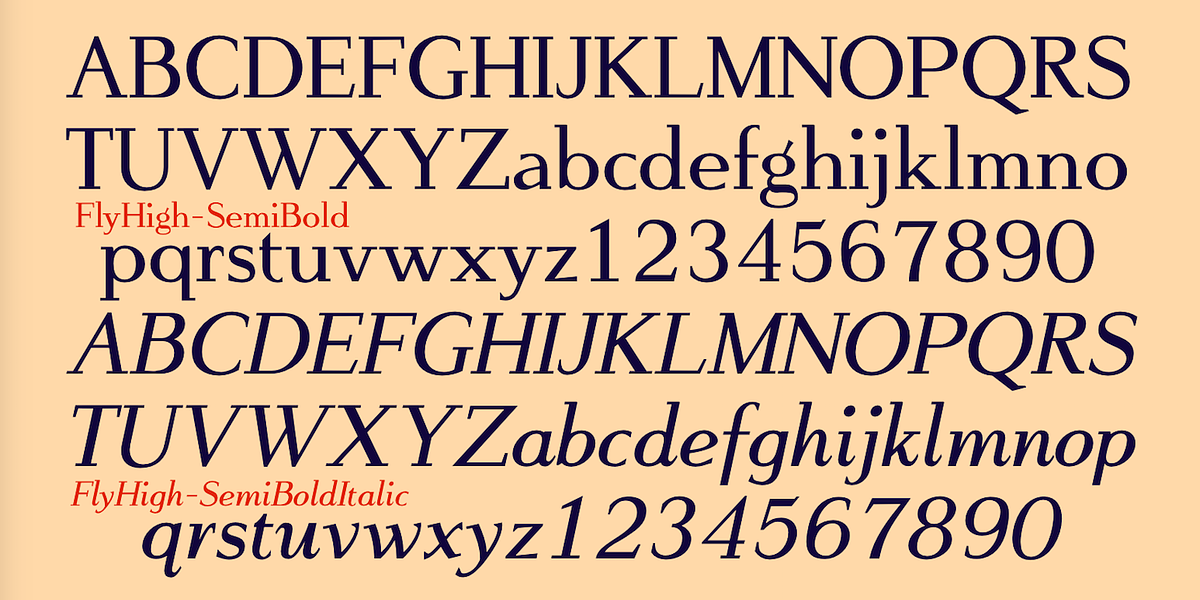 FlyHigh, a Slab Serif Font by Ingrimayne Type (Photo 7 of 10)