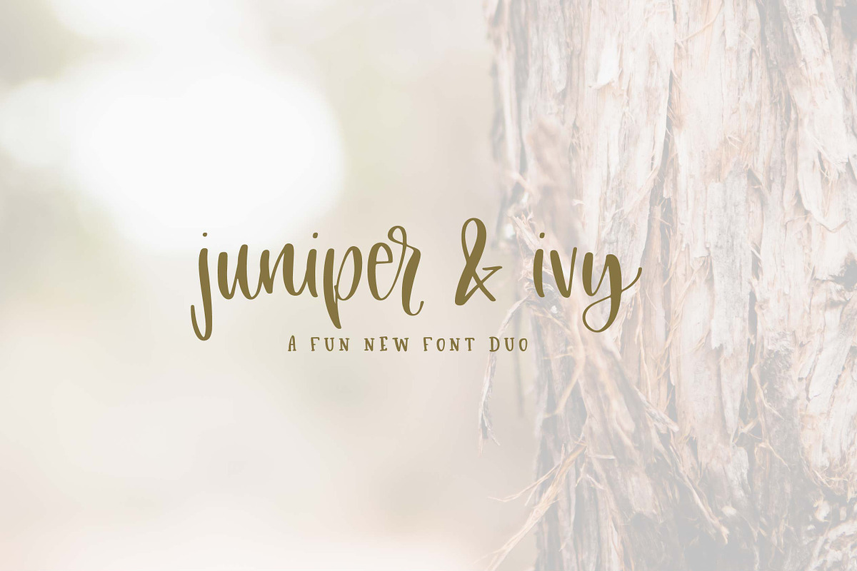 Juniper + Ivy Font Duo