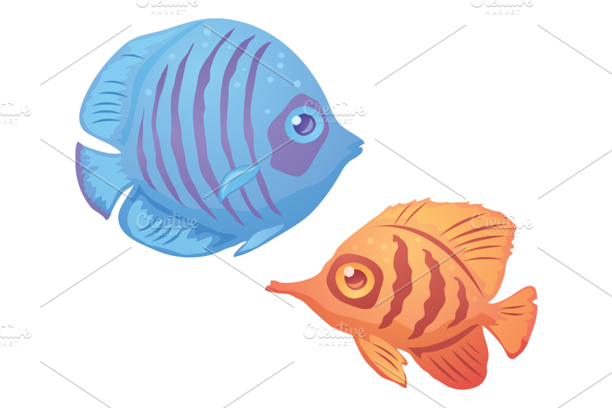 Tropical Fish, an Illustration by Schwegel Illustration