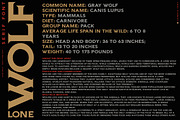 LONE WOLF - Serif font, a Serif Font by Artistic & Unique (Thumbnail 7 of 7)