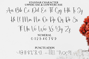 Special Angela, a Handwritten Font by FreshTypeINK (Thumbnail 3 of 8)