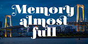 Tectónica, a Serif Font by Untype (Thumbnail 14 of 14)