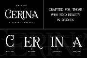 Cerina - Fashion Handdrawn Font, a Serif Font by Pandeka Studio (Thumbnail 2 of 9)