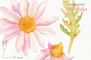 Watercolor Flowers Bundle, an Illustration by OllyKo Art (Thumbnail 13 of 15)