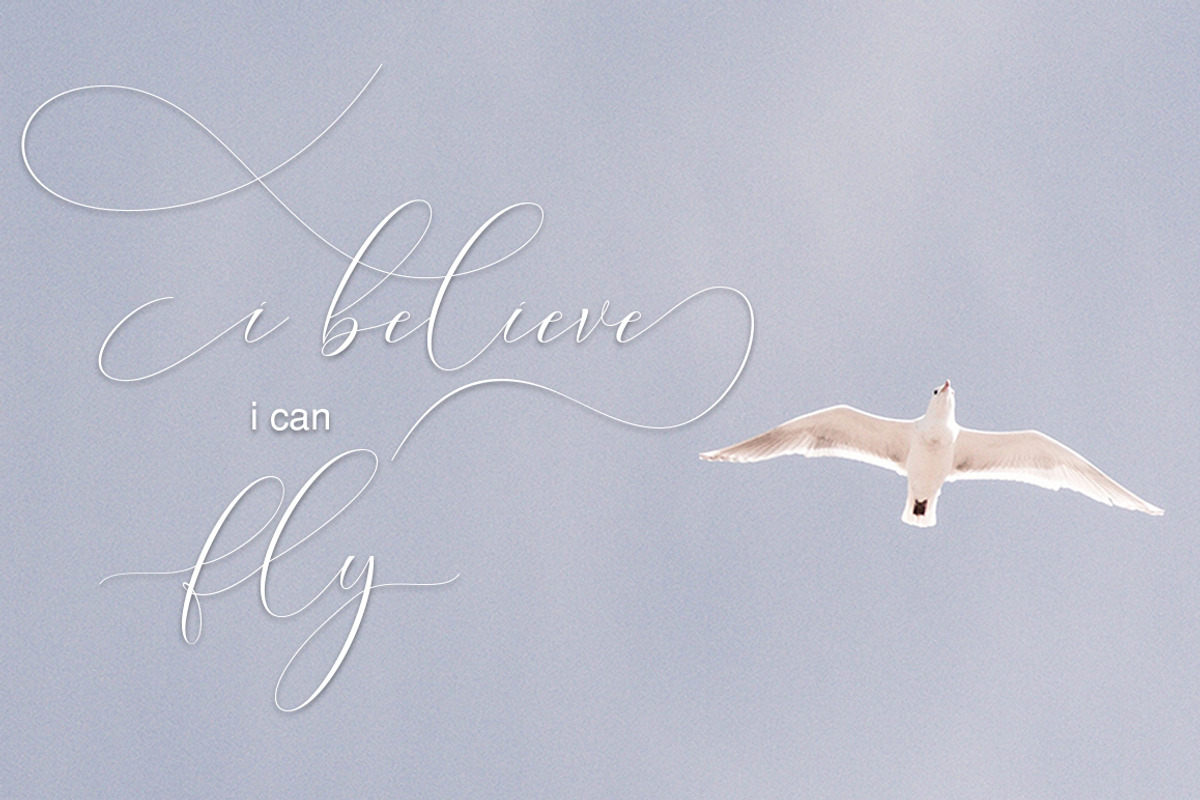 Washington Calligraphy Modern, a Script Font by Teweka (Photo 15 of 19)