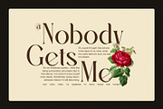Haoky Elegant Serif Font, a Serif Font by Graphicxell (Thumbnail 2 of 8)