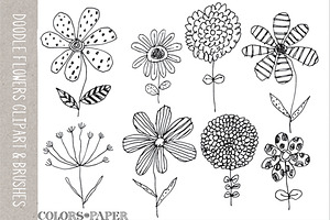 8 Doodle Flowers Clipart & Brushes