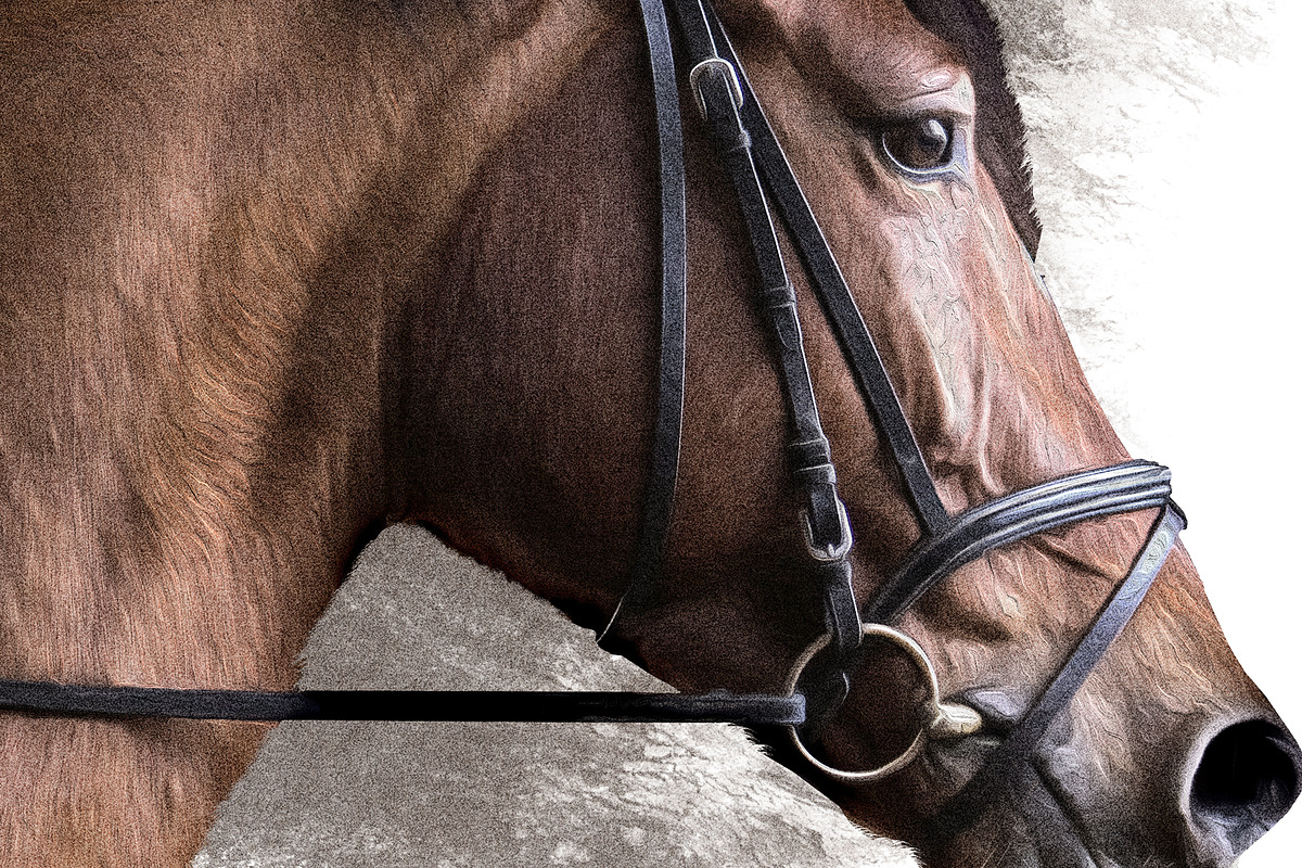 Portrait of a Horse II, an Animal Illustration by Digital Art Downloads (Photo 4 of 4)