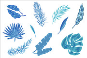 Rainforest Tropical Leaves set, a Decorative Illustration by mcherevan (Thumbnail 2 of 4)