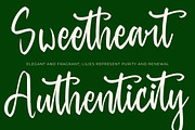 Baghera Thenetta Modern Handwritten, a Script Font by stylishtype.co (Thumbnail 4 of 20)