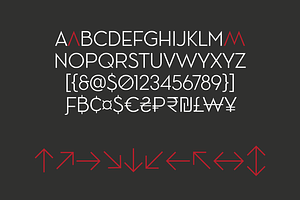 Ace Sans Variable Font