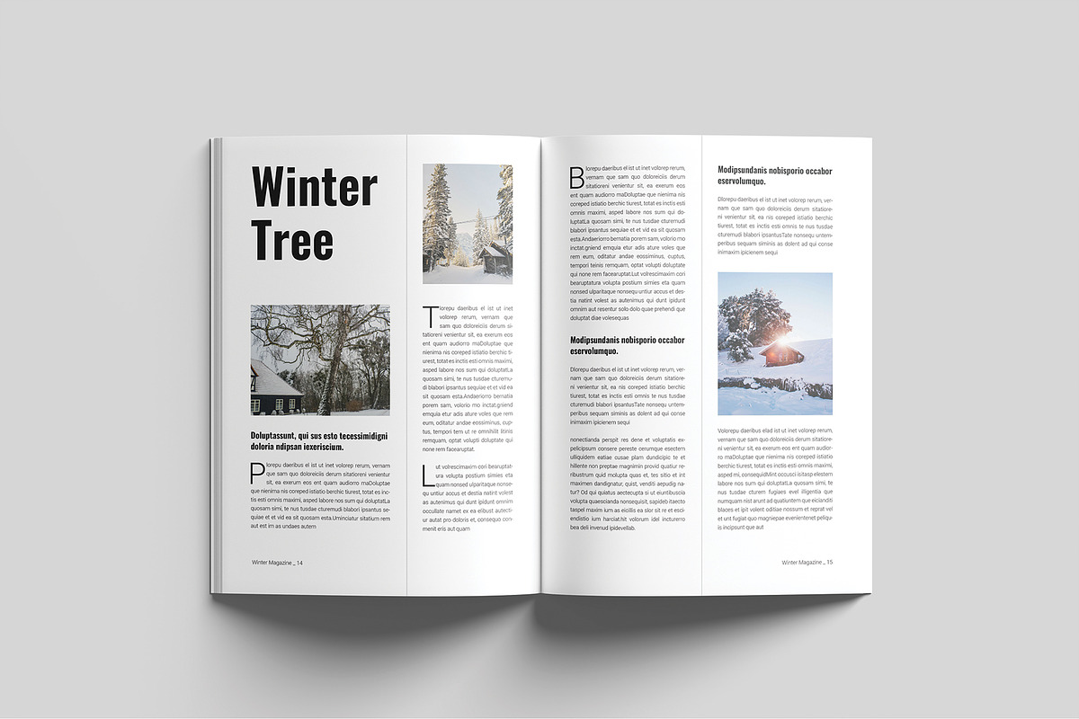 Winter Travel Magazine Template, a Magazine Template by Cleffon_Graphic_Studio (Photo 8 of 11)