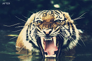 Cinema Photoshop Actions, an Action Add-On by Photography Planet (Thumbnail 1 of 5)