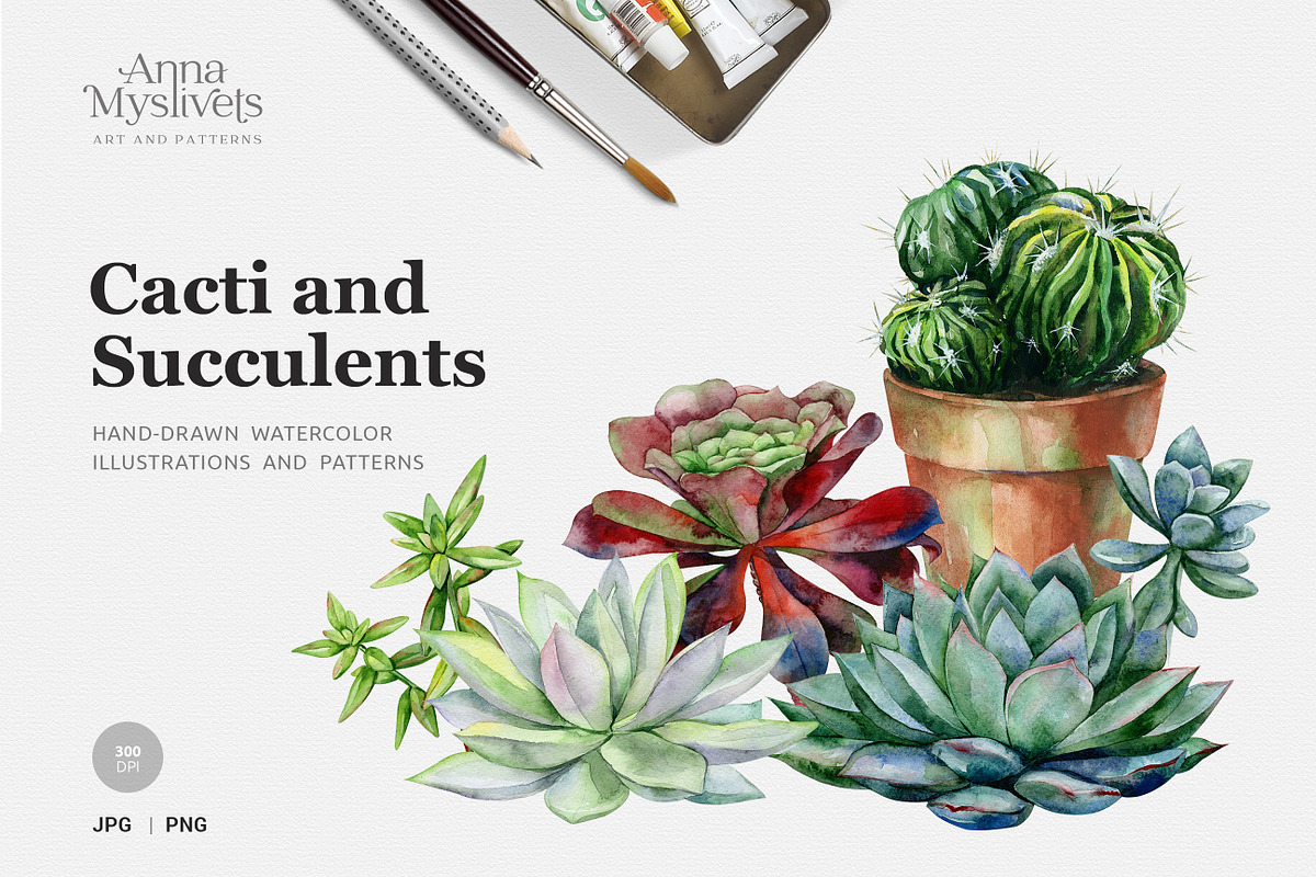 Cacti & Succulents, a Decorative Illustration by Anna Myslivets Art (Photo 1 of 9)