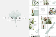 Ginkgo Complete Pack, a Presentation Template by Studio Sumac (Thumbnail 6 of 10)