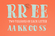 Goodlife Serif, a Handwritten Font by HvD Fonts (Thumbnail 4 of 4)