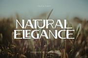 Tozca - Simple Luxury Typeface, a Serif Font by xyGraphic (Thumbnail 6 of 10)