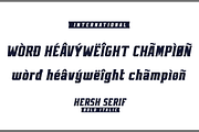 HERSH SERIF FONT FAMILY, a Serif Font by Alphabet Agency (Thumbnail 14 of 14)
