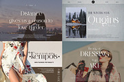 Elegant Ligature Serif  Font Bundle, a Serif Font by Alfinart (Thumbnail 5 of 16)