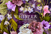 Whisper Floral Art Collection, an Object Graphic by Eclectic Anthology (Thumbnail 14 of 14)