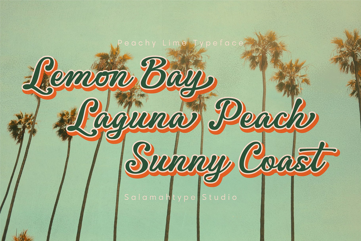 Peachy Lime – Retro Script Font, a Script Font by Salamahtype (Photo 6 of 8)