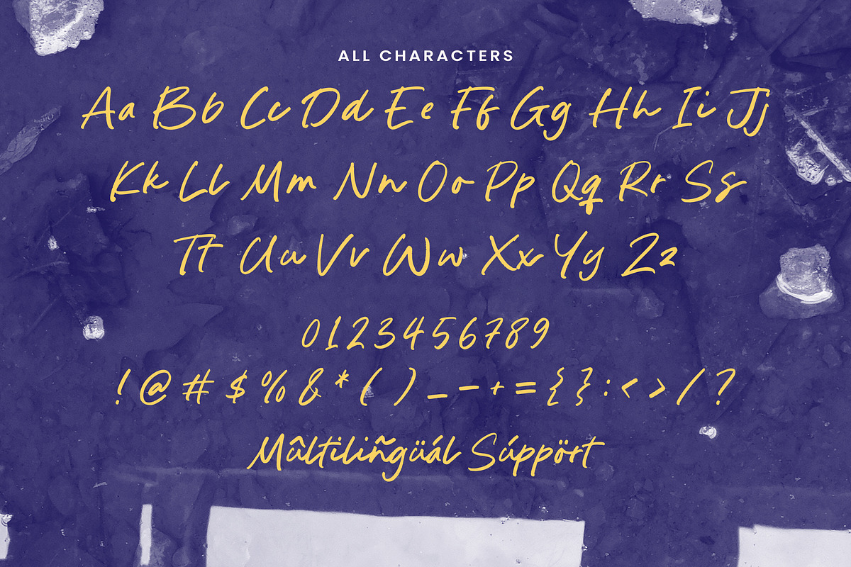 Indigo Hunter Font, a Script Font by Timurtype (Photo 6 of 7)