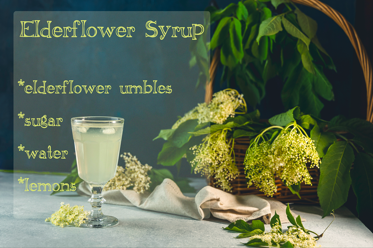 Elderflower Serif Font, a Serif Font by CozyPersimmon (Photo 2 of 8)